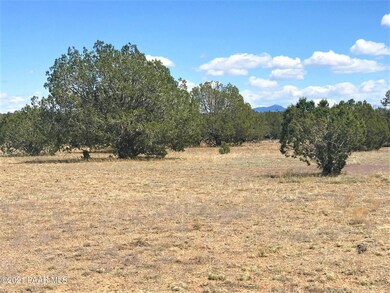 Lot 5 Un Named Rd, Ash Fork, AZ 86320 - photo 2
