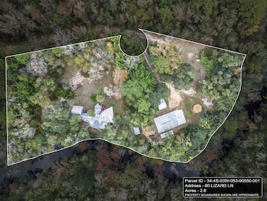 60 Lizard Ln, Sopchoppy, FL 32358 - photo 4