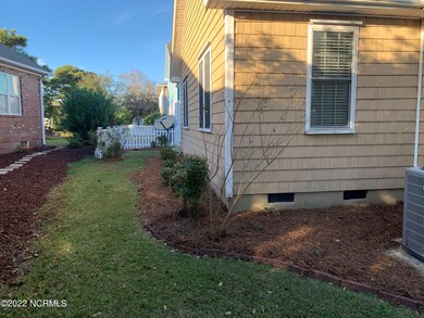 Backyard2