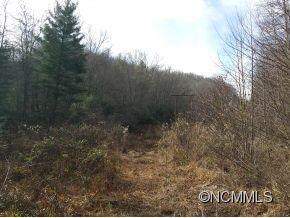 9999 Little Lake Rd, Etowah, NC 28729 - photo 3