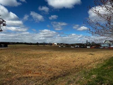 Tract 20B Apron Rd, Hardy, VA 24101 - photo 3