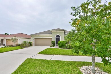 14316 Romeo Blvd, Wimauma, FL 33598 - photo 4