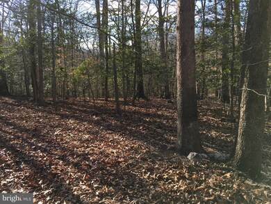 12791 Westside Rd, Manassas, VA 20112 - photo 7