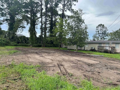 2187 E 98 Hwy, Lanark, FL 32322 - photo 2