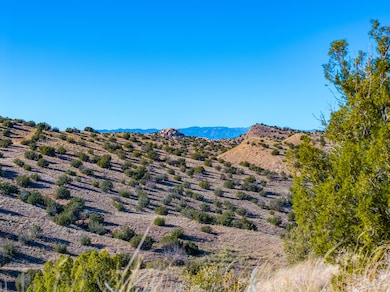 131 Via Sol Estrella unit B, Los Cerrillos, NM 87010 - photo 3