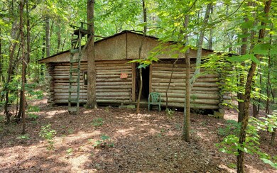 0 Hwy 411 unit 308551, Ranger, GA 30743 - photo 3