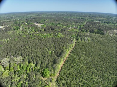 DJI_20250410092448_0002_V