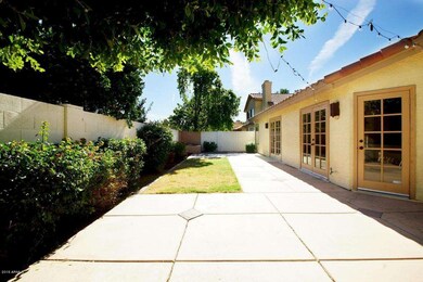 Backyard 1