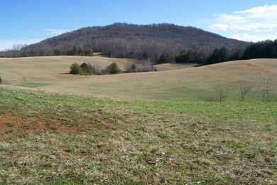 800 Goodbar Rd, Rock Island, TN 38581 - photo 2