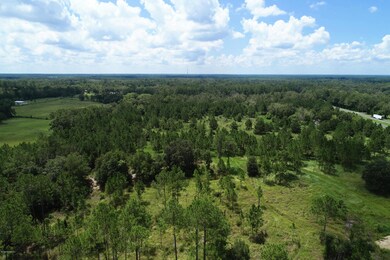 DJI_0579