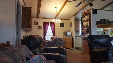 19 Noland Hills Dr, Leicester, NC 28748 - photo 4