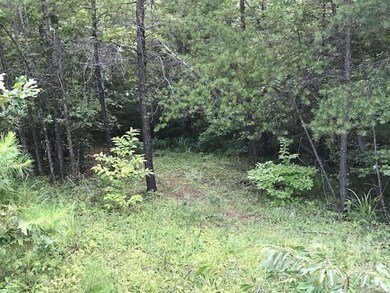 0000 Mallard Rd, Lake Lure, NC 28746 - photo 5