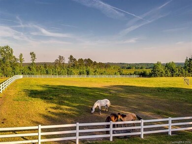 Pasture