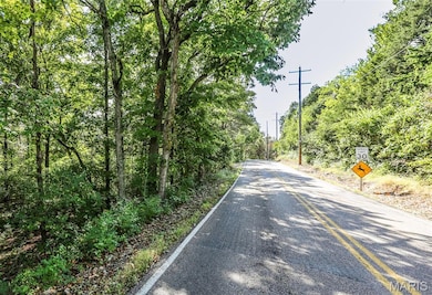 6302 Upper Byrnes Mill Rd, Byrnes Mill, MO 63051 - photo 5