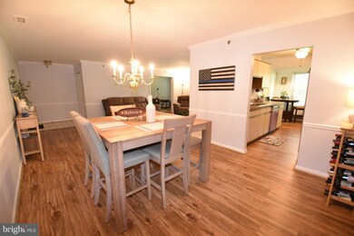 14 Rainflower Path unit 203, Sparks Glencoe, MD 21152 - photo 3