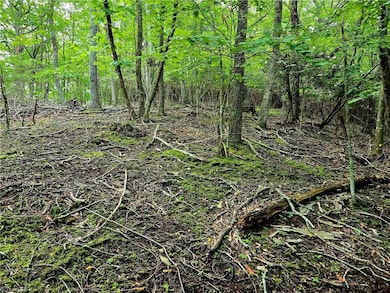 TBD Red Fox Trail, Boone, NC 28607 - photo 6