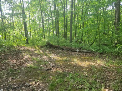 Cavin back of lot