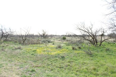 11368 Dove Creek Ln E, San Angelo, TX 76904 - photo 2