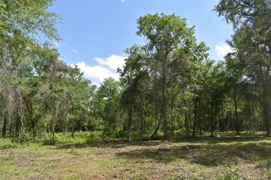 Tract 4 Farm To Market 362, Waller, TX 77484 - photo 5