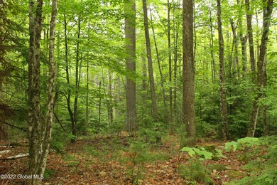 00 State Route 28, Johnsburg, NY - photo 4