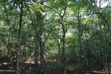 IMG_0009