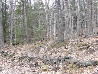 Lot 59 Eastman Hill Rd unit 59, Sanbornton, NH 03269 - photo 2