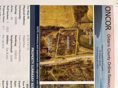 9 Rabbit Run, East Bloomfield, NY 14469 - photo 5