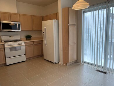 9347 Harrison St unit 271493, Des Plaines, IL 60016 - photo 3