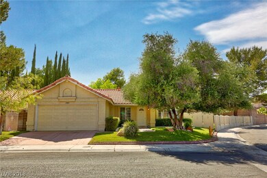 2845 Charring Cross Way - Large Corner Lot Pool Ho