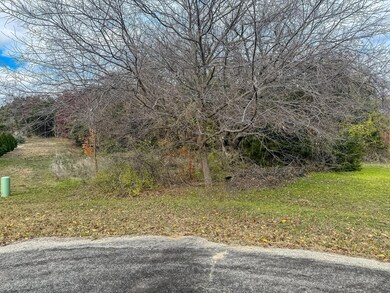 311 Clear Lake Ln, Weatherford, TX 76087 - photo 3