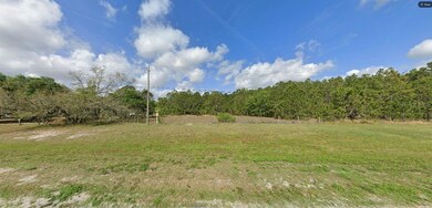 0 Commonwealth Ave N unit MFRO6264134, Polk City, FL 33868 - photo 2