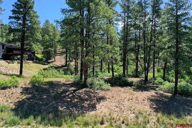 96 Wild Iris Ave, Durango, CO 81301 - photo 3