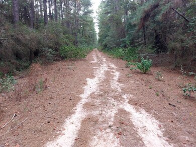 Dirt Roads in Deerwood East