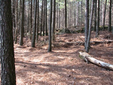 HiPntLn79_fron 1 acre near st_1