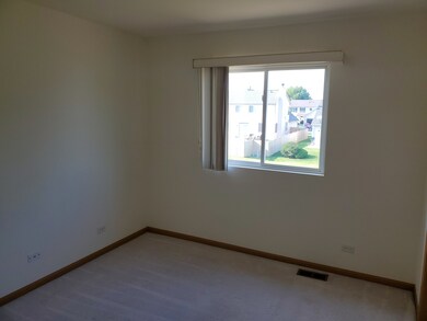 24336 Pear Tree Way, Plainfield, IL 60585 - photo 3