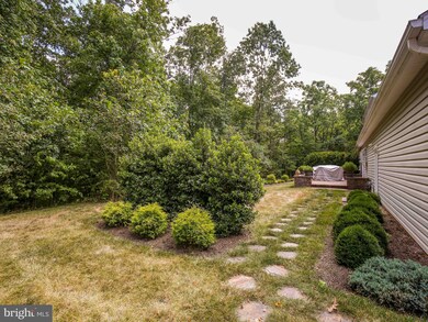 433 Cather Rd, Berryville, VA 22611 - photo 7