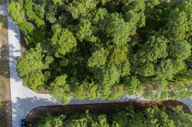 0 Kaay Ave unit T3369550, North Port, FL 34288 - photo 4