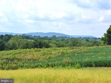 3706 Petersville Rd, Knoxville, MD 21758 - photo 3