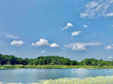 16121 130th Ave, Le Roy, MI 49655 - photo 2