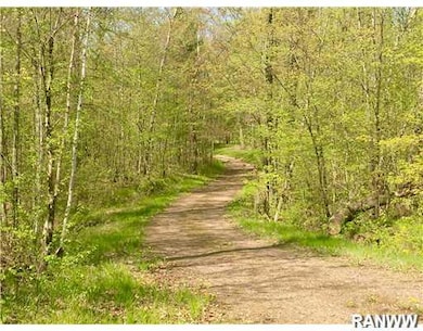 N2487 Loons Landing Rd, Weyerhaeuser, WI 54895 - photo 2