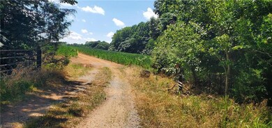 429 Harbour Ln, Dobson, NC 27017 - photo 4