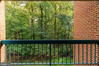 11833 Shire Ct unit 21B, Reston, VA 20191 - photo 5