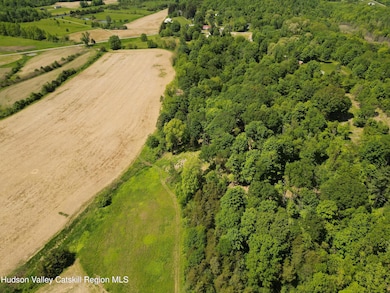 Lot 2 County Route 6, Clermont, NY 12526 - photo 3