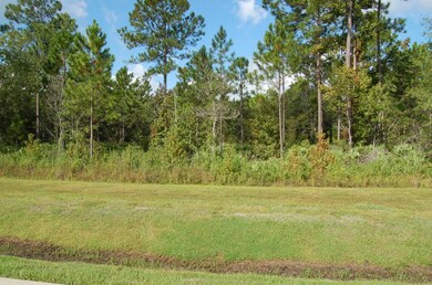 156 Honey Branch Ln, St. Augustine, FL 32092 - photo 7