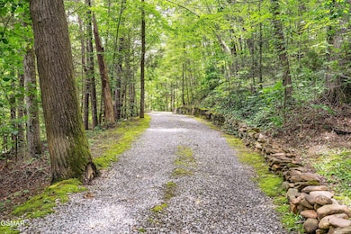 2537 Waldens Creek Rd-25