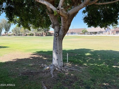 Back Patio Golf Course View