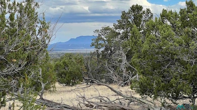 View of mountain backdrop with a forest