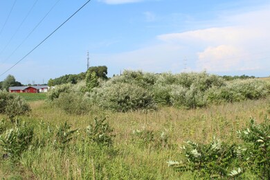IMG_0817