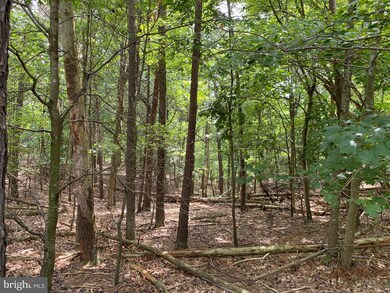 0 Big Sky Ln unit WVMO116644, Berkeley Springs, WV 25411 - photo 4