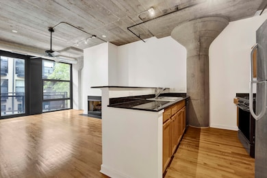 University Commons VI unit 209, Chicago, IL 60608 - photo 3